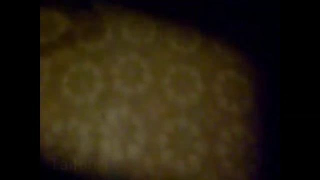 Я шепну тебе на ушко смотреть онлайн