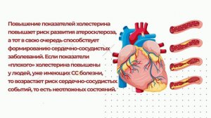 Как снизить холестерин? Чем опасен повышенный холестерин? - проект «Отвечариум»