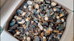 Измельчитель Mac Allister MSHP2800D касторама-2 выход продукта