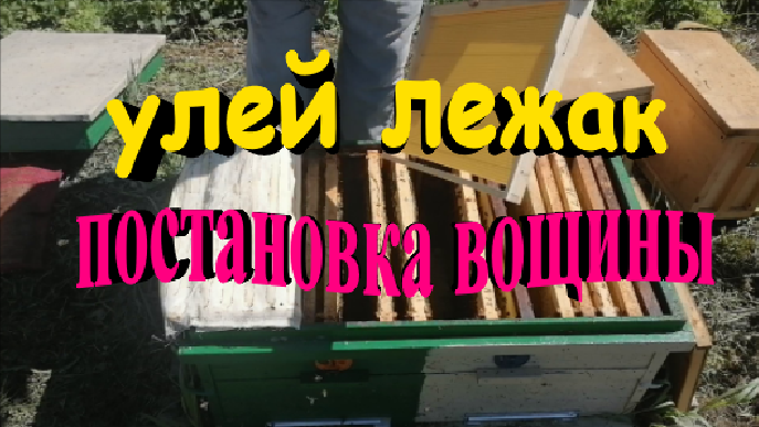 Улей лежак. Постановка вощины