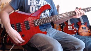 Groover Instrumentos - Cort T74    (Vendido)