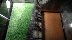 МЕНЯЮ ВОДУ ЧЕРЕПАХАМ!!!КАК ПРАВИЛЬНО МЕНЯТЬ ВОДУ В АКВАРИУМЕ?