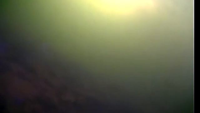 Липецкое водохранилище стая окуней
