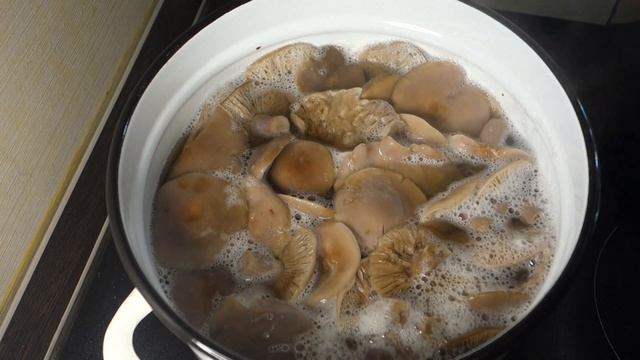 Маринованные Рядовки Фиолетовые на зиму