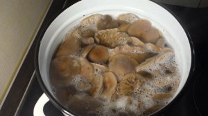 Маринованные Рядовки Фиолетовые на зиму