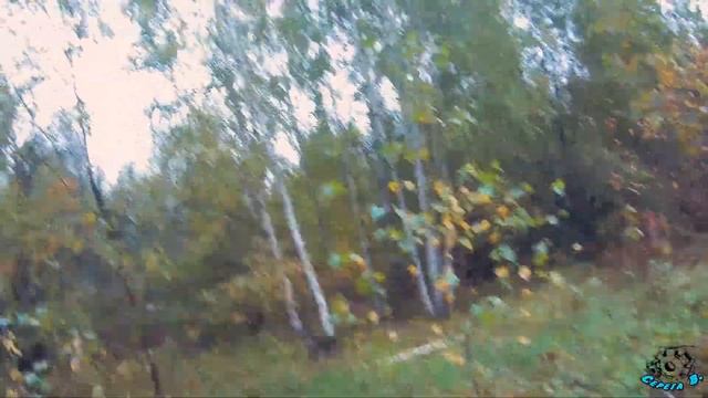 НА МОТОБЛОКЕ ?за дровами?. ПОКАТУШКИ. По осеннему саду. ON THE MOTOR-BLOCK "for firewood". ROLLERS. смотреть онлайн