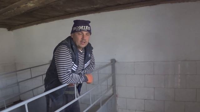 Зачем отдал хряка,аматорам обрезали хвосты , и начали поносить смотреть онлайн