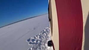 АНГАРА РЫБАЛКА ПОД НОВЫЙ ГОД! Рыба ушла на дальний кордон!?