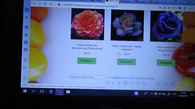 Саженцы из питомника по почте России! Доставим за 4 дня. смотреть онлайн