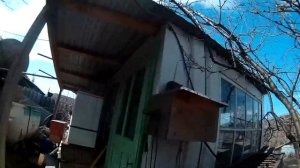 Гибридная домашняя электростанция 1 кват статистика за год