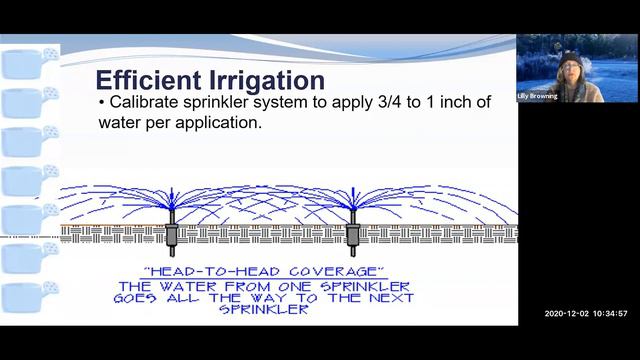 Your Florida-Friendly Winter Landscape смотреть онлайн