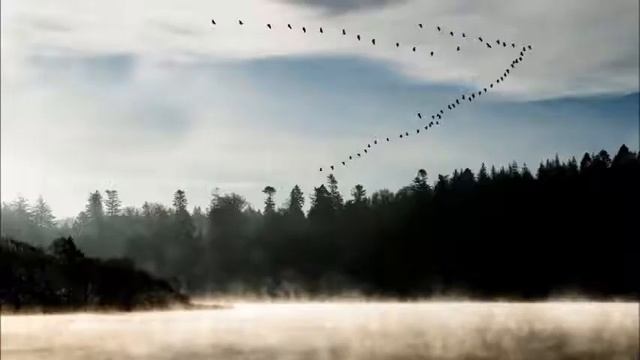 " ЯНТАРНАЯ ОСЕНЬ" стихи ЕЛЕНЫ ВАСИЛЬКОВОЙ гитара В. РАЗДОБУДЬКО смотреть онлайн