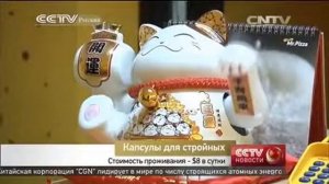 Капсулы для стройных