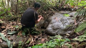 survival instinct in the jungle using survival skills to find food in the jungle(Ep15)