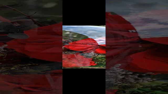 Идея подарка. Композиция из живых-стабилизированных роз, растений и мха. Декор