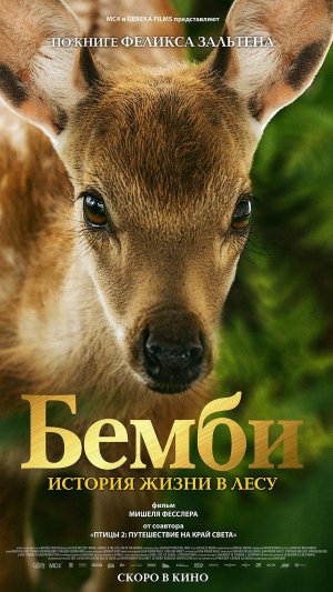 615cf15f8c7079214cf62f097a3b4d0a.1080