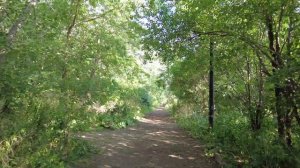 Hidden Path to Toronto's Riverdale Park From Danforth Ave (Aug 2021)