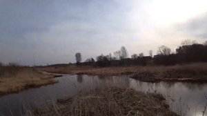 У истока р.Истра после таяния снега, бобровая плотина | At the source of the river.Istra, beaver da