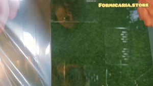 Видеоинструкция террариума RoomBox 310х220х170 мм