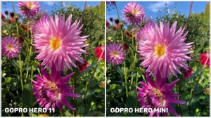 Gopro Hero 11 Black VS Gopro Hero Mini | Camera Test