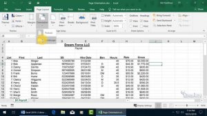 Microsoft Excel 2019: Page Orientation