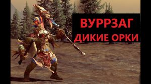 ДИКИЕ ОРКИ Вуррзага, или как собрать себе армию в TOTAL WAR WARHAMMER 3