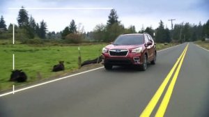 2018 Jeep Compass Trailhawk vs 2019 Subaru Forester
