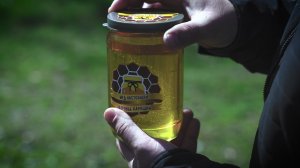 Импульс для вашего здоровья от локальных производителей