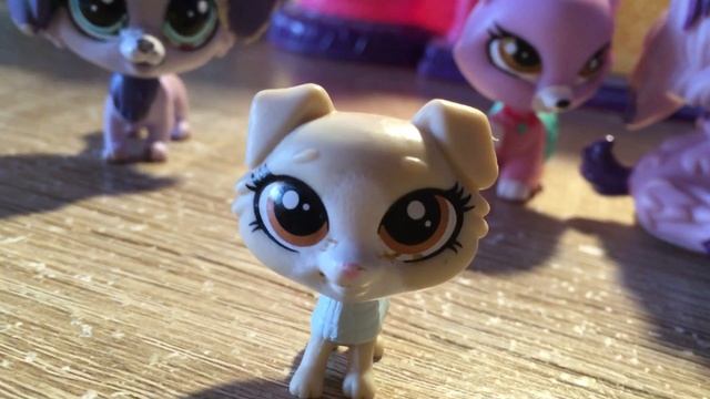 Ksyusha-Pets.Зоомагазин.Как понять - Мальчик или девочка?) смотреть онлайн