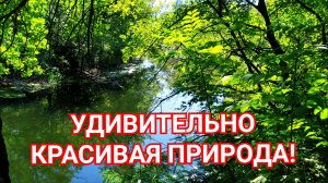 Удивительно красивая природа. Relax.