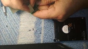 Жёсткий диск WD или Seagate не определяется, профилактика HDD