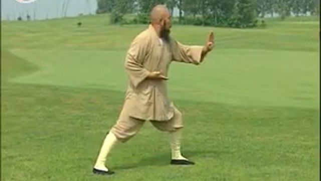 Учебный фильм с подробным разбором комплекса Сяо Хун Цюань смотреть онлайн