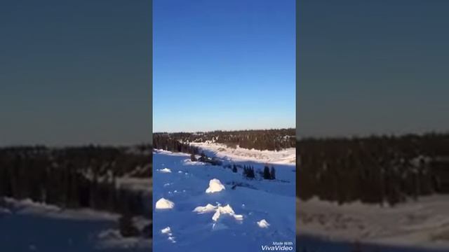 Наглый, очень наглый собакен... смотреть онлайн