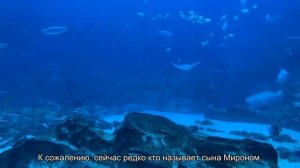 Значение имени Мирон. Толкование, судьба, характер