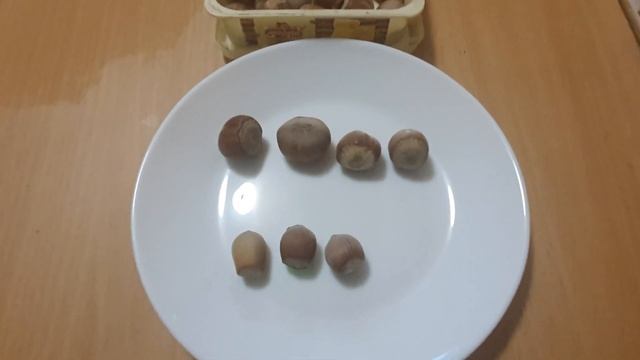 ???ФУНДУК+презентация сортов,весна 2022. смотреть онлайн