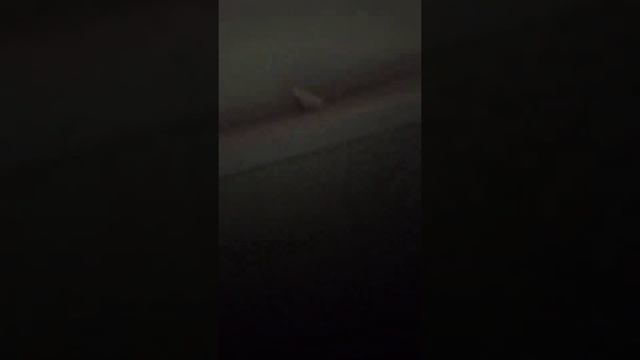 Подтекает вода из холодильника. Почему и как устранить быстро.