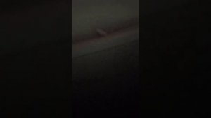 Подтекает вода из холодильника. Почему и как устранить быстро.