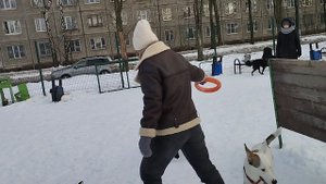 Dogs Training Зоопсихолог ? Жил Был Кинолог ? Моя Жизнь Кино ? Документальный Многосерийный Фильм