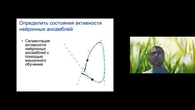 5 конференция. Феликс Поляков. Гештальтпсихология, геометрия движений и точка невозврата