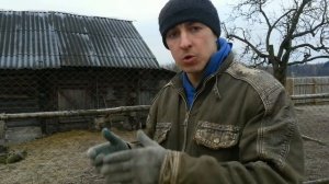 Как ловить котов //Наш опыт // Котоловка // Даша молодец //Ужасы в деревне