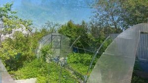 Как восстановить и отремонтировать теплицу после пролома снегом. Как отремонтировать теплицу