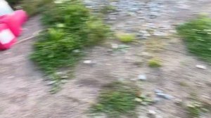 Поиски тормозов Форд Фокус Ford Focus RS продолжение...