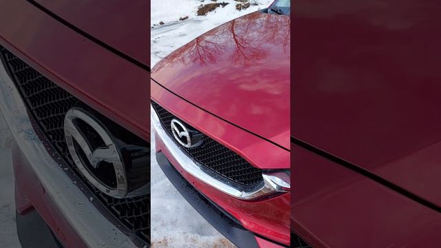 Как так можно делать?  Я  покрасил мазду 46V / качество покраски.