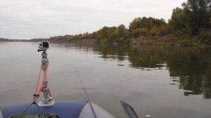 СУДАКИ И ЩУКИ РВУТ ЭТОТ ТВИСТЕР В КЛОЧЬЯ. Рыбалка на Оке осенью