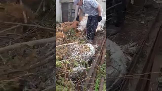Видео-отзыв от Раиса Нуритдиновича из Курганской области. Садовый Измельчитель У250 (Б) Draxter