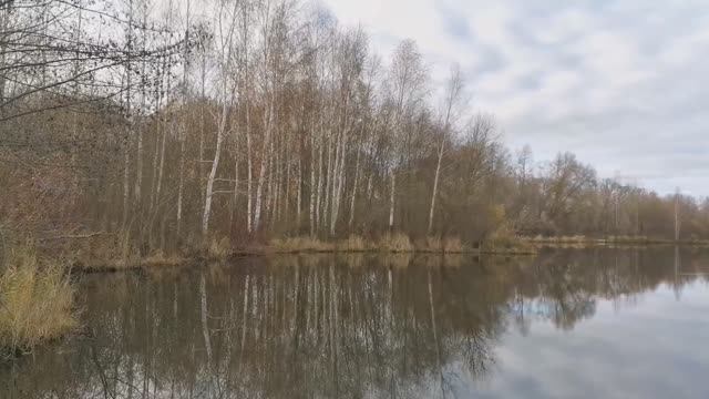 Живые фотографии Брянск, Радица под медленный бит, озеро, осень (Lo-Fi Beats, relax, chillout).