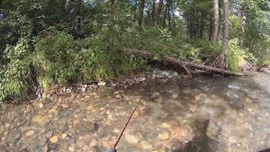 рыбалка август 2020. Приморский край. 2 часа вечернего позитива на ручье!