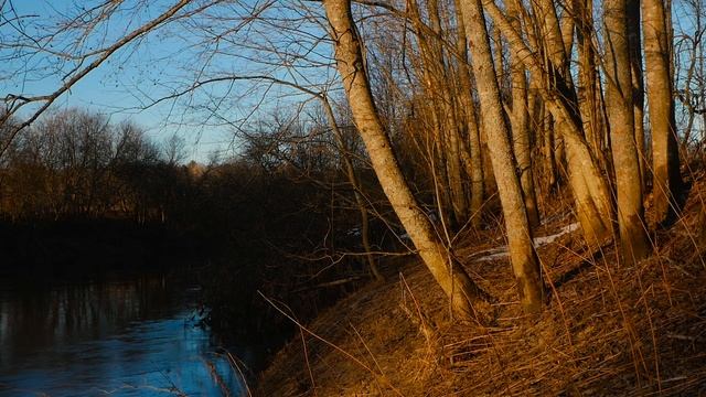 СПЛАВ ПО РЕКЕ ШАЧА СУСАНИНСКАЯ 60 км. АПРЕЛЬ 2023. смотреть онлайн