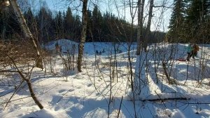 Поехали в Подгородку покататься на санях! В Омске оттепель. Внучка была в восторге!