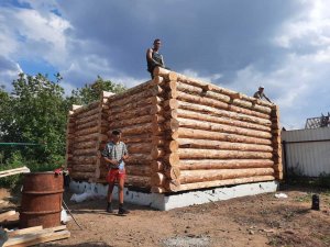 Сруб из сосны в чашу